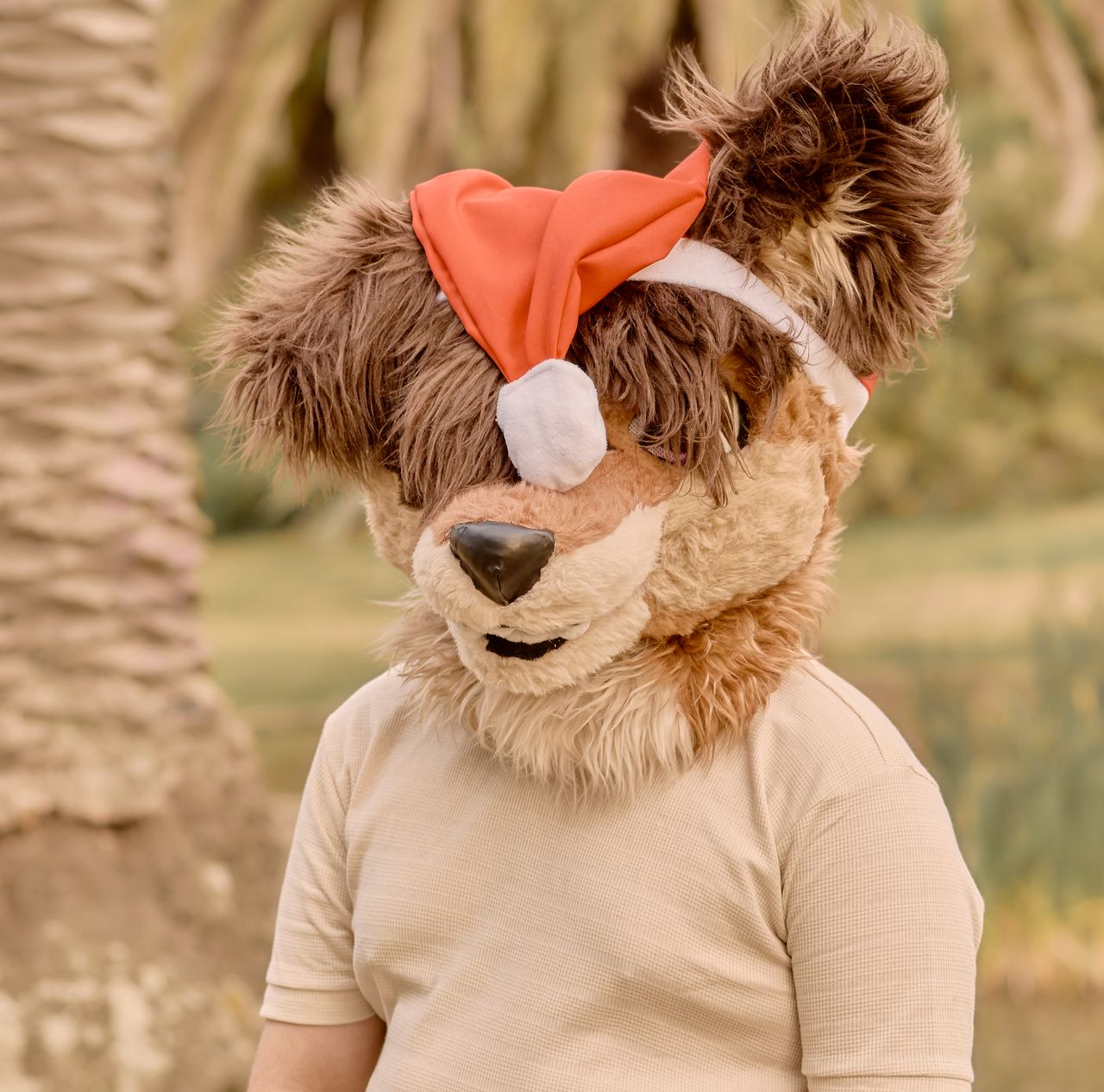 A person wearing a furry costume with Santa hat stands outside with a neutral background.